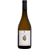 Picture of Ornithogale  Chardonnay